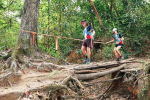 BIB: 
                            <button type="button" onclick="openModal(27725728)" class="btn btn-primary btn-sm float-right btn-popup" data-toggle="modal" data-target=".modal-high-quality">
                        <i class="fas fa-shopping-cart"></i> Add to Cart
                    </button>
                                            <button type="button" onclick="isThisMe(27725728, true)" class="btn btn-success btn-sm float-right btn-popup btn-isme hidden" data-toggle="tooltip" data-placement="bottom" title="นี่คือรูปของคุณใช่ไหม คลิกที่นี่เพื่อเอาเข้าอัลบั้ม">
                        <i class="fas fa-plus"></i> Add to album
                    </button>
                    <button type="button" onclick="isThisMe(27725728, false)" class="btn btn-warning btn-sm float-right btn-popup btn-isnotme hidden">
                        <i class="fas fa-ban"></i> Remove from album
                    </button>